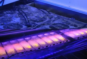 Single-Phase Immersion Cooling VS Two-Phase Immersion Cooling future image